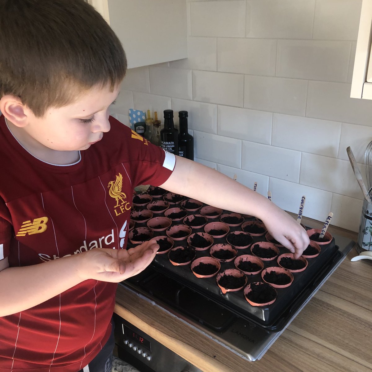 LizzyLogsGeog's tweet photo. Big job for the morning, planting seeds ready to go into the greenhouse #suttonsseeds #gardening #homeschool https://t.co/EoJeSAVUFm