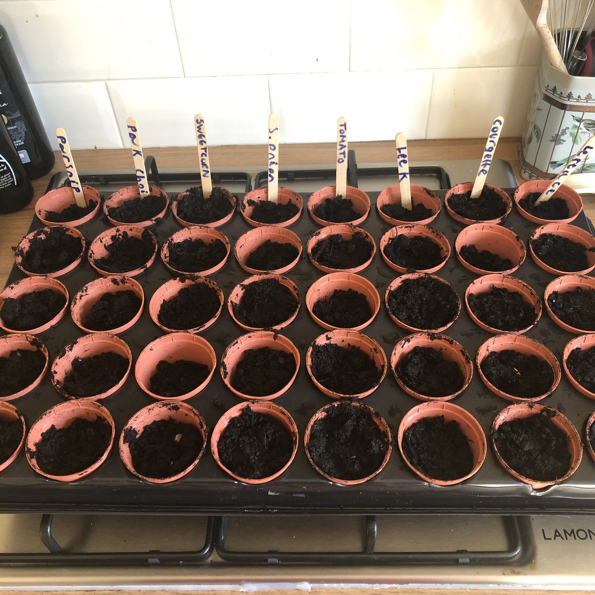 LizzyLogsGeog's tweet photo. Big job for the morning, planting seeds ready to go into the greenhouse #suttonsseeds #gardening #homeschool https://t.co/EoJeSAVUFm