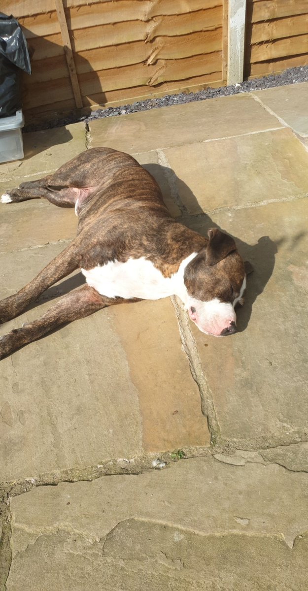 Day 1 of 7. My life in pictures.  No people, no words.  Nominated by @MissBetts_CHS. Today I nominate <a href="/imfivebyfive/">Hassan</a>