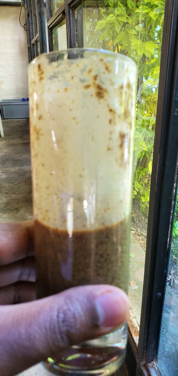 GetachewSS's tweet photo. Home. Made this beauty #Telba but it tastes horrible. Did I do it wrong or is it supposed to taste horrible? It's like drinking wood. #EverydayEthiopia https://t.co/lqM4cPZwPp