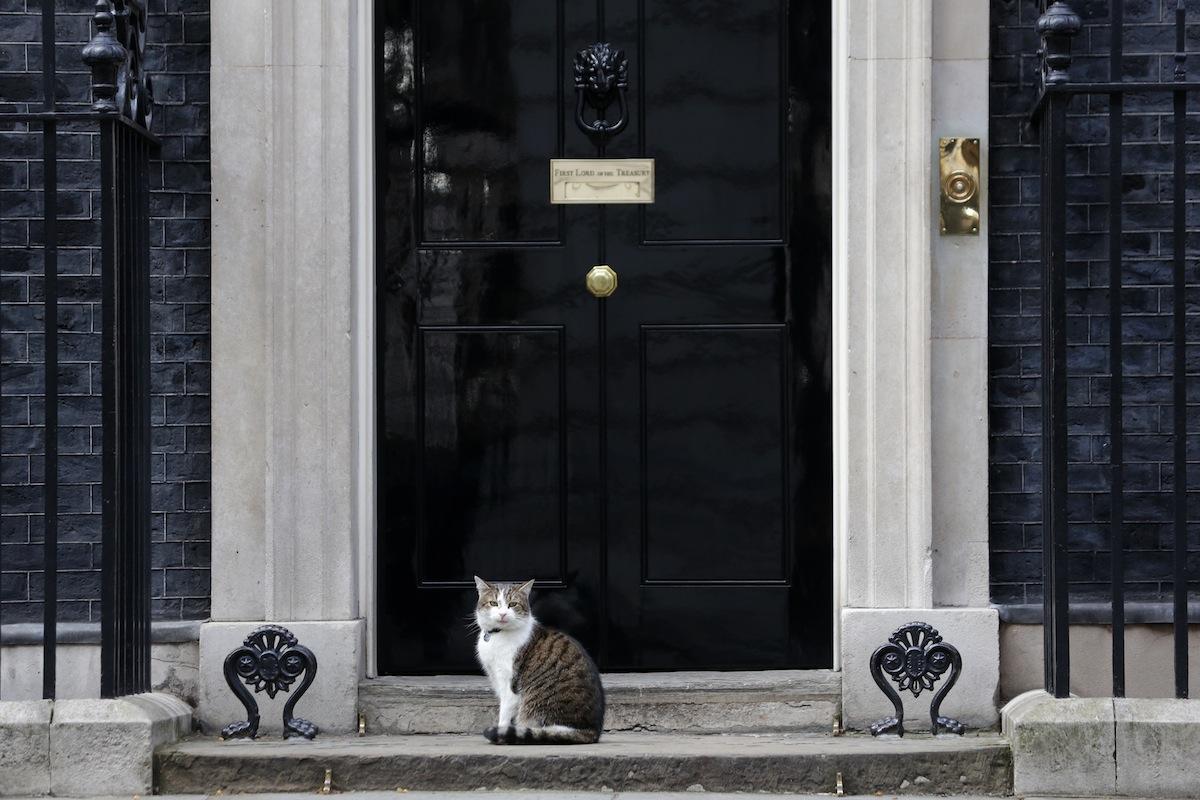 Our wishes go out to Prime Minister <a href="/BorisJohnson_MP/">Boris Johnson</a> for a quick recovery but now it's clear only one person is guaranteed to be Corona Virus free right now in Number 10.

<a href="/Number10cat/">Larry the Cat</a> - He's the PM now