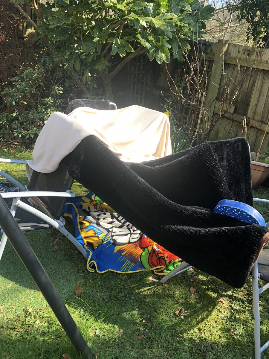 BECCI678's tweet photo. Den building with these two! https://t.co/zawv7qDlXO