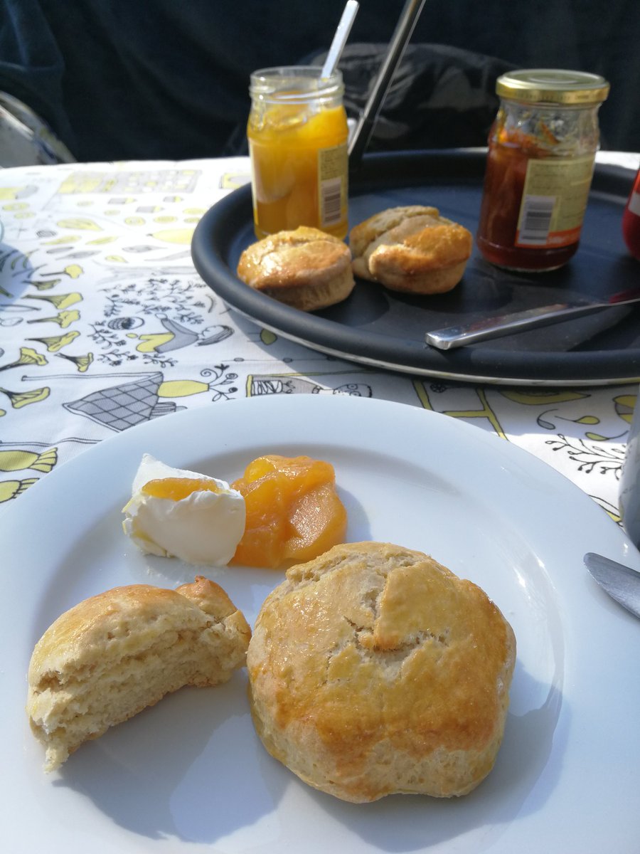 BToFall's tweet photo. Quarantäne Tag 13. Letzte Gewissheit, dass wir aus Tirol nichts eingeschleppt haben. Bin nach wie vor gesund. Heute mal kein homeoffice, dafür versüsster Start in den Tag. #coronavirus #scones #splendidIsolation #superWetter #trotzalledem #wirbleibenzuhause https://t.co/kx7rubuxOY