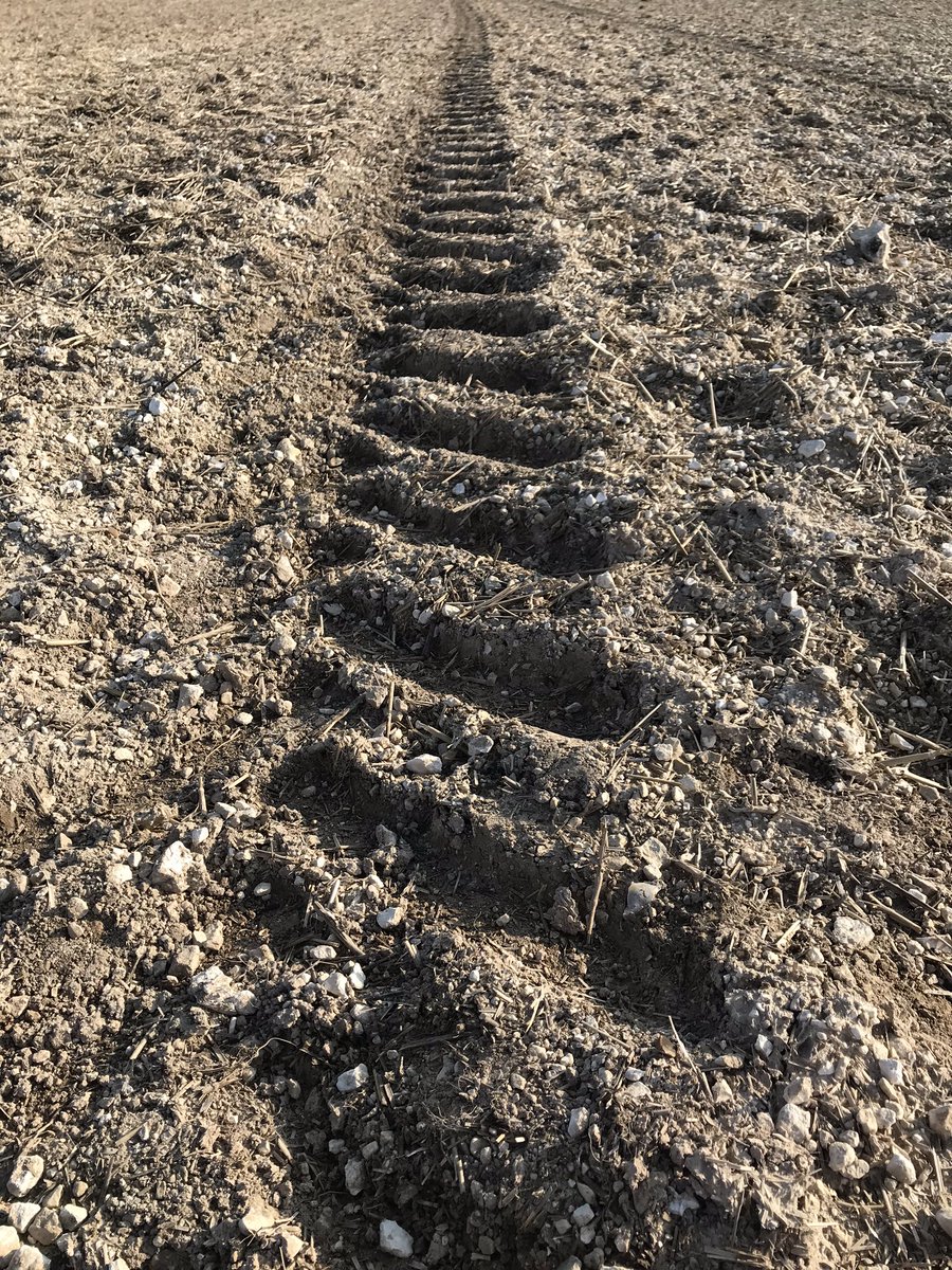BlackwellAndy's tweet photo. Todayβs #hourofexercise keeping on track #lambourn #Countryside https://t.co/QKWaNvOEr8