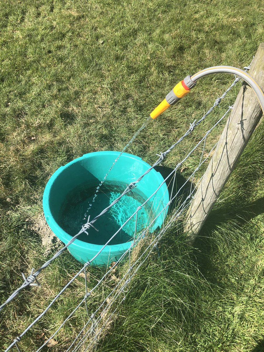 Lloyd Warburton🏴🇺🇦 tweet media