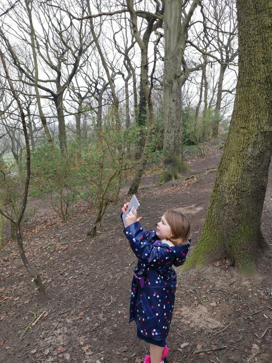 Mr_Steadman's tweet photo. It's daddy day care today. I think Pearl is regretting asking the question...'Can we do more writing and RWI after our walk?' @RuthMiskinEdu @olasjprimary https://t.co/seSjtoFk0T