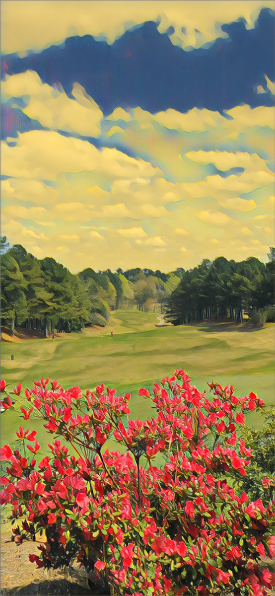 Perfect day for some golf ☀️💪🏌️‍♂️🏌️‍♀️⛳️ Turf Care is out double mowing greens, double rolling greens, raking bunkers and checking the course set up 🧱🎱