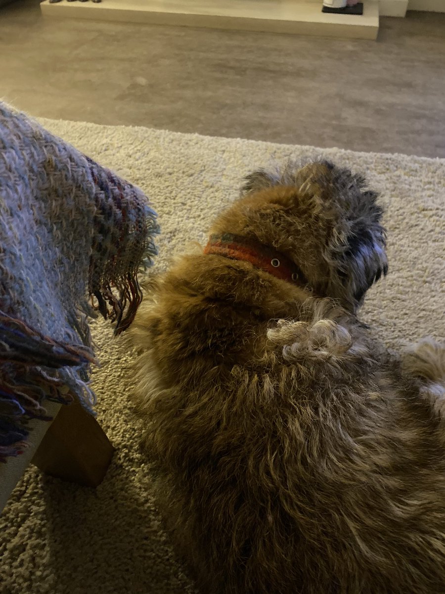 smiffytheBT's tweet image. From this to this. #homestripping #slowprogress #CoronaLockdown