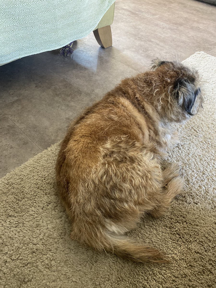 smiffytheBT's tweet image. From this to this. #homestripping #slowprogress #CoronaLockdown