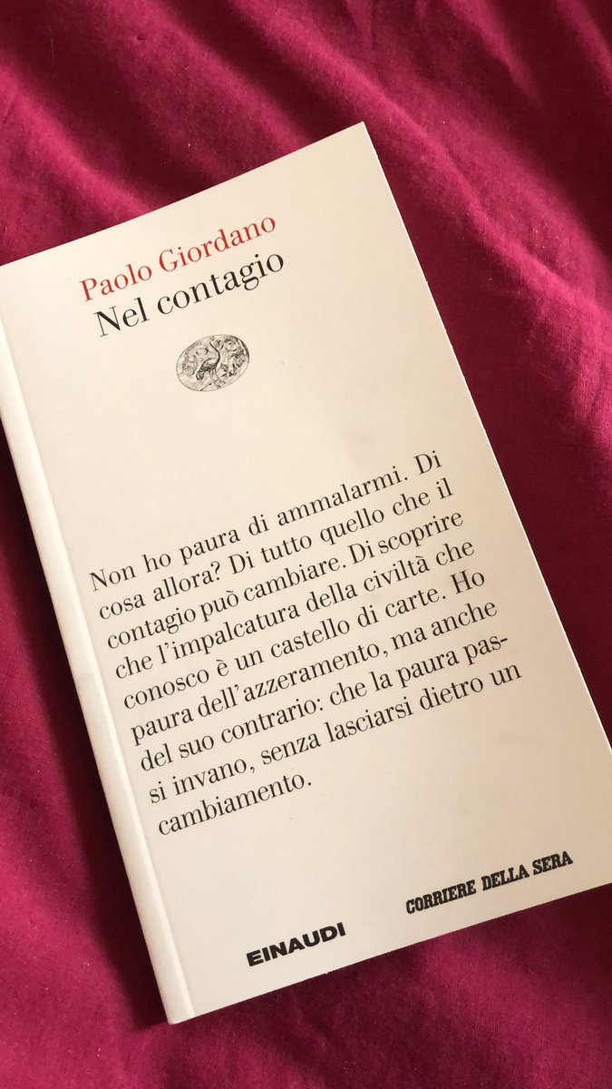 bealabea tweet media