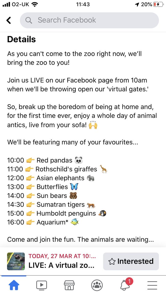 If you love animals why not watch these live videos from Chester Zoo’s Facebook page! Make sure you are watching today to see all of your favourite creatures :) 🐠🦋🐧🦒🐘 #curiosity @kestrelmead