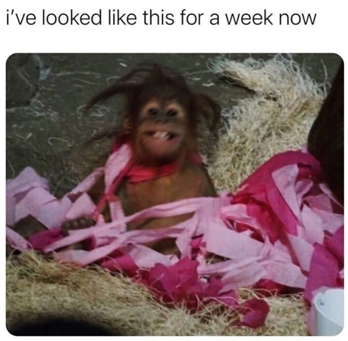 womenshumor's tweet photo. Cool with it. https://t.co/826JSEIAe2