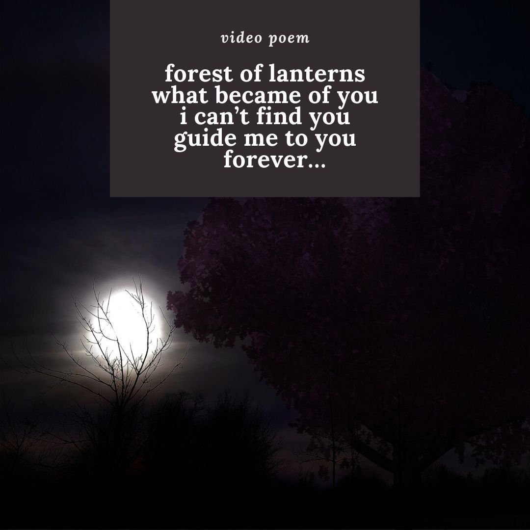 linaru's tweet photo. Forest of Lanterns: 🕯️ https://t.co/pWxYEJfuak
#videopoem #poeticvideo #experimentalpoetry #poeticfilm #poetryfilm https://t.co/kencBEKZ2n