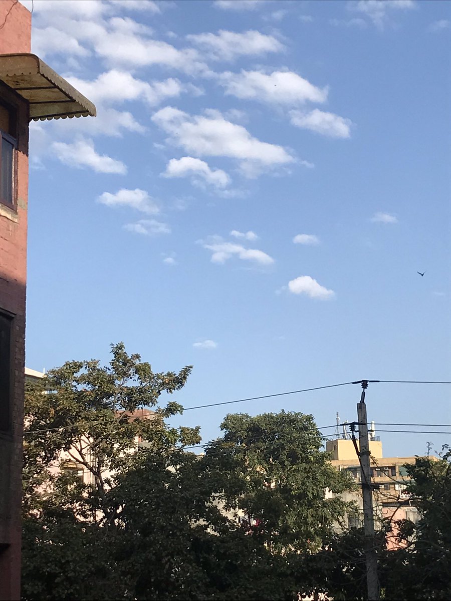 Scrappedtm's tweet photo. Such a clean sky. Delhi AQI around 50. That’s how it should be year round.
#cleanair https://t.co/58tQQhSWz9
