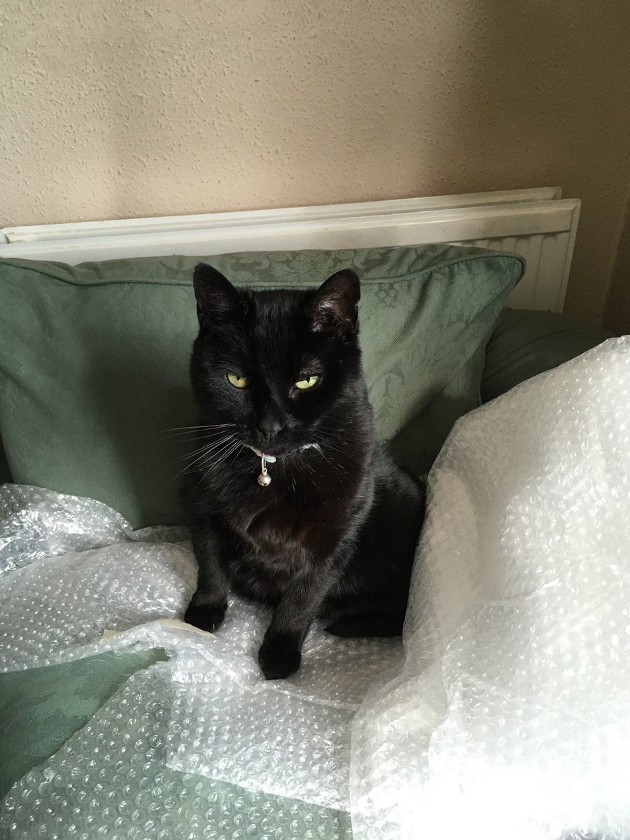 <a href="/marjonuni/">Plymouth Marjon University</a> Meanwhile in <a href="/totnes/">totnes</a> during #UKLockdown, Sidney is not impressed with all this extra attention he is getting! #MarjonTogether #StayAtHomeSaveLives