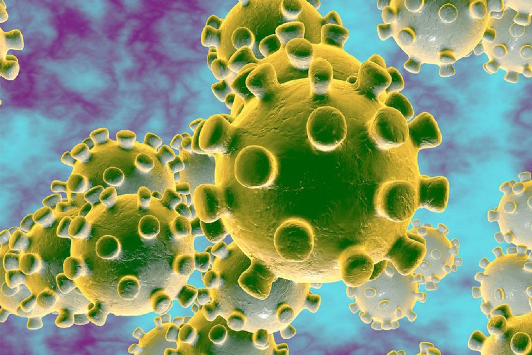 PD Drenthe tweet media