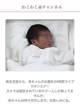 画像 / Picture