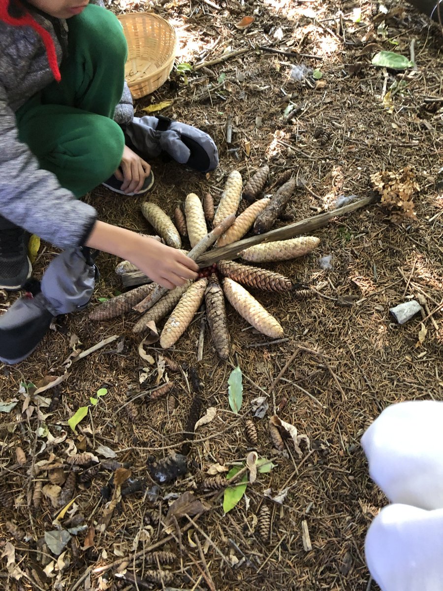 DianeKashin1's tweet photo. Free professional learning for early childhood education on Responsive Relationships as a Pedagogical Approach #ECE #ReggioPLC https://t.co/1g9CWvqEFx https://t.co/VVZgXCmzLl