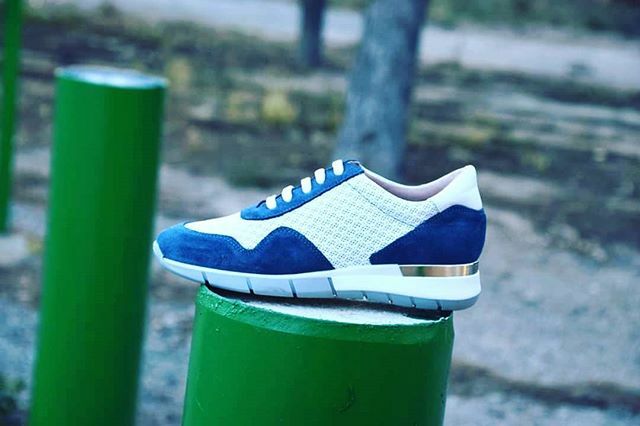 ضائقة النبيل الصيف zapatos patricia miller 2018 - muradesignco.com