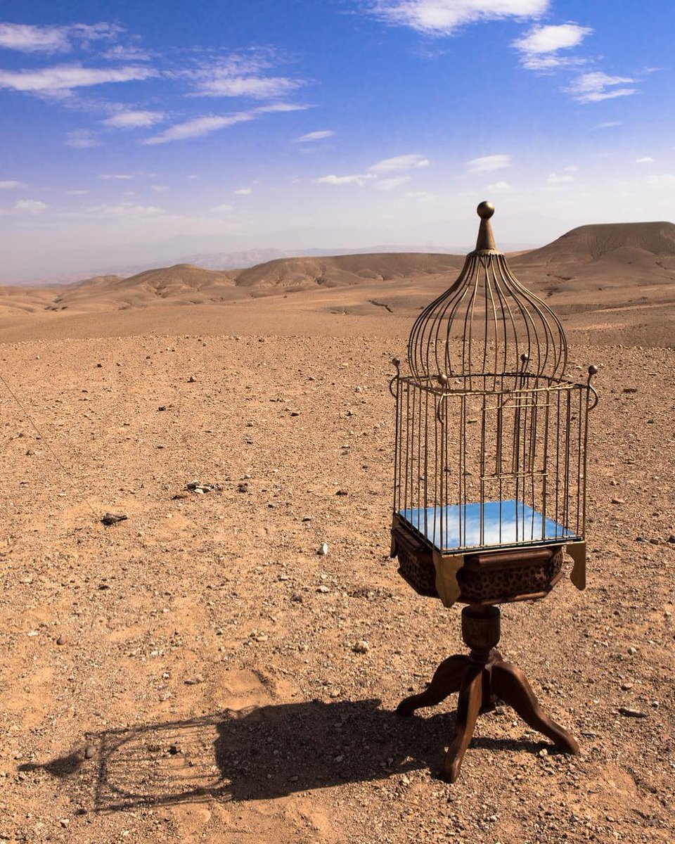 NonagonStyle's tweet photo. 「Reflection of the Nature」🦉
Use nature as the purist painting board! There is no birds in the cage.
📷@shirinabedinira
#landart #natureart #birdcage #mirrorart #reflectionofnature #installationinnature #desertart #cageart https://t.co/cPXTlRXkem