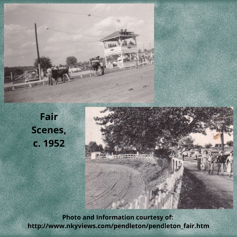 PCPLibrary's tweet image. Fun Fact Friday!
#PCPLFunFactoftheDay