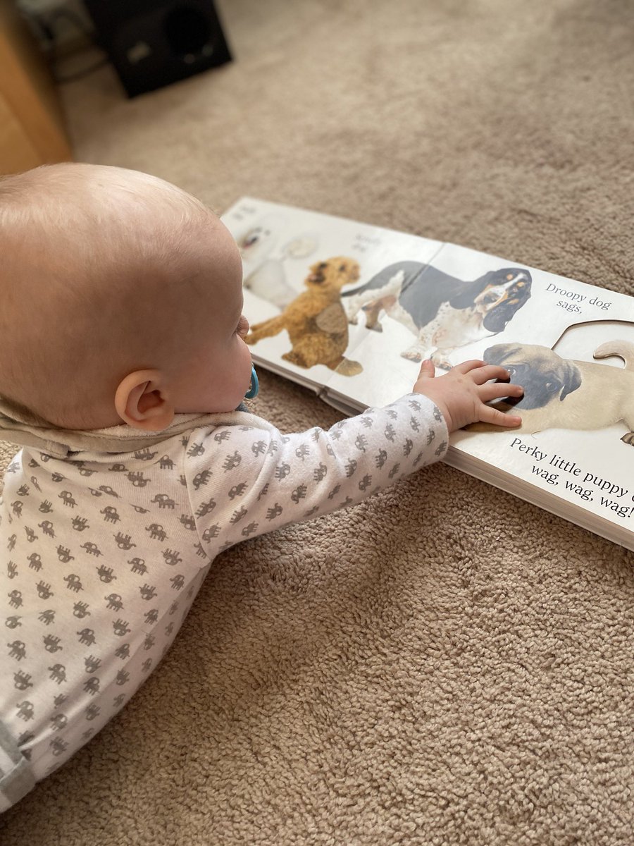 JKESLibrary's tweet photo. Baby Alex is starting his day reading about his favorite animal, dogs!  He’s reading ‘Dog’ by Matthew van Fleet. What are you reading, Cardinals? ❤️ https://t.co/kZLdkhlNZA
