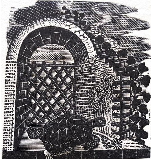 March 28, 1782 – Poor Timothy was flooded in his hybernaculum amidst the laurel-hedge; &amp; might have been drowned, had not his friend Thomas come to his assistance &amp; taken him away.