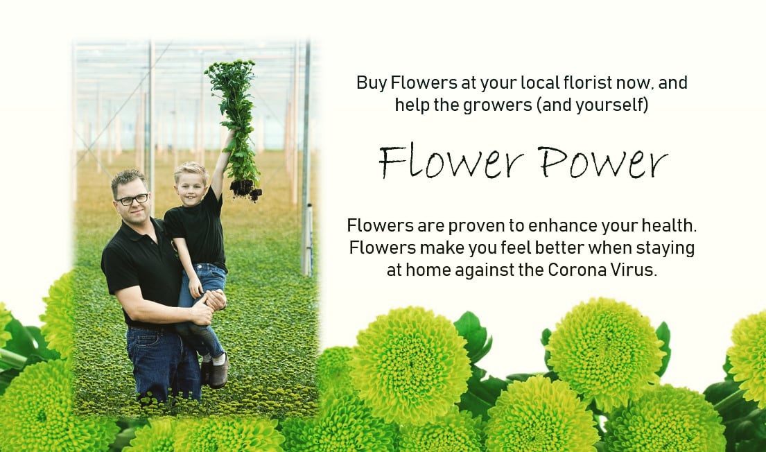 We as flower grower C. van Wijk, and the floriculture sector, which employs 150,000 people in the Netherlands, has been hit unprecedentedly hard by the corona crisis. Support us to buy flowers today to brighten up your living room and home office! .