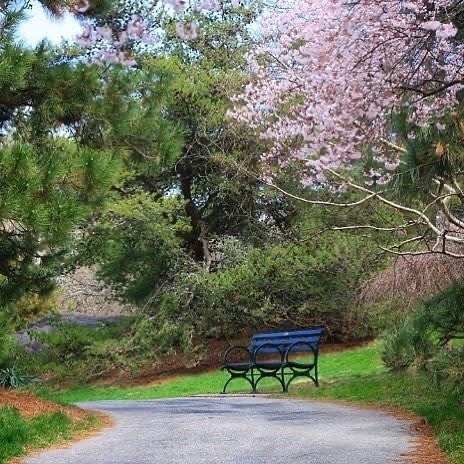 TheCulinaryLens's tweet photo. I’m missing my regular visits to @nybg but I have a lot to be thankful for. Good health to all #welcome2thebronx https://t.co/4POdDp5gzw