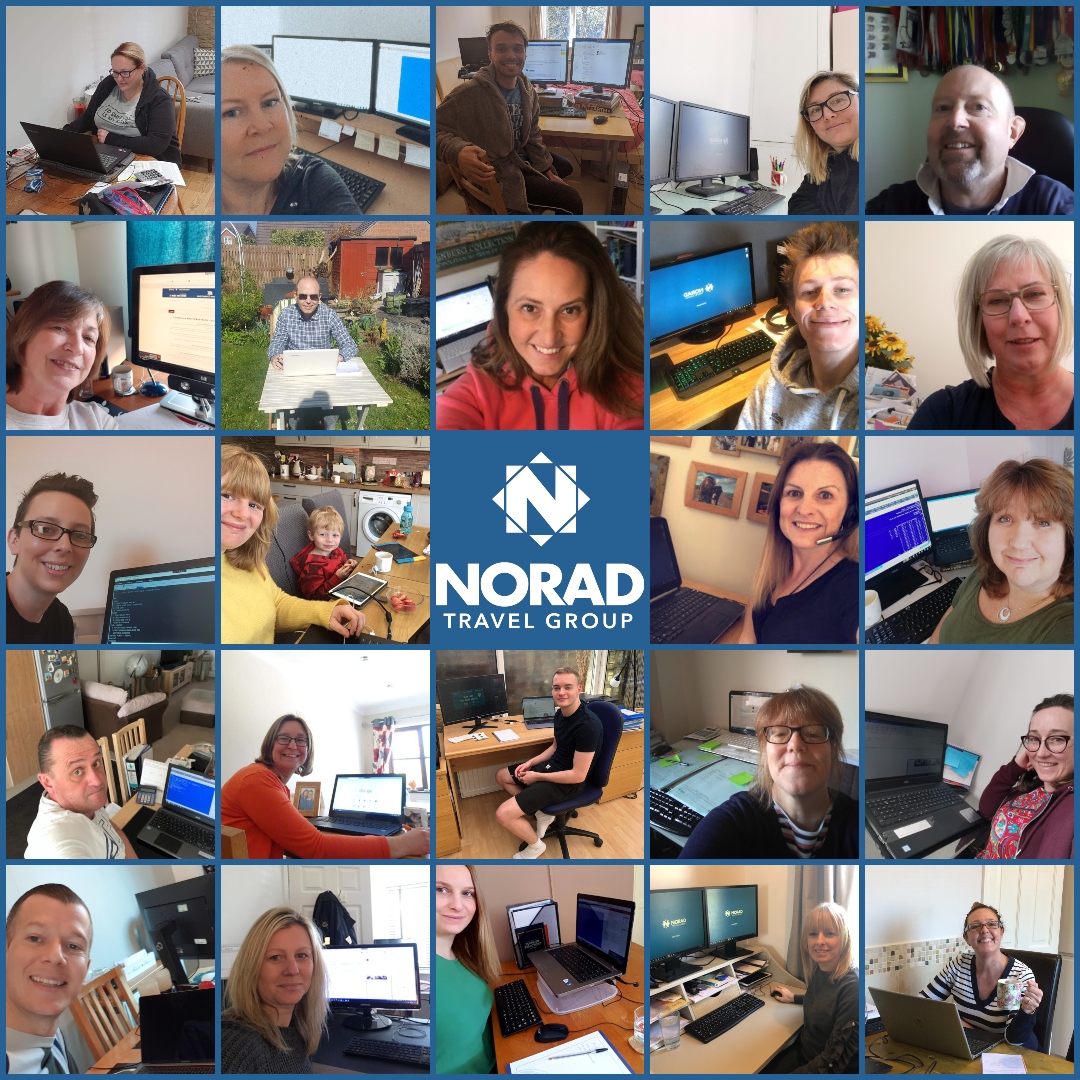 Norad Travel Group tweet media