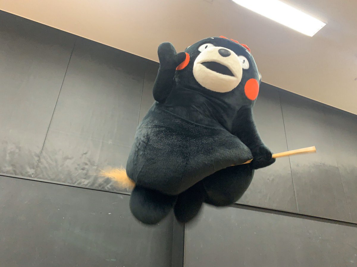 55_kumamon's tweet image. 今夜に決めたモン！出発だモーン☆