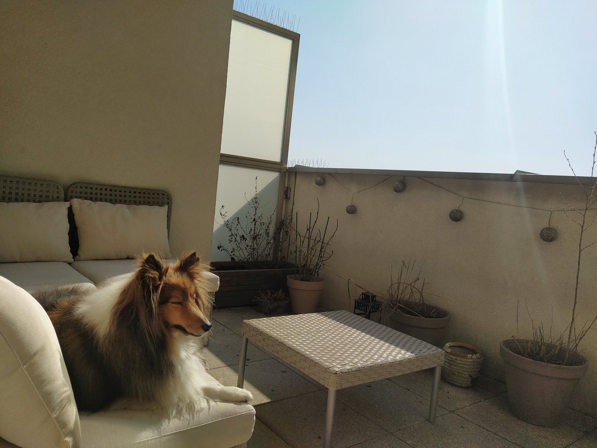Henl3y's tweet photo. It's not much. But take all the sunshine you can! https://t.co/1solMRTV7O