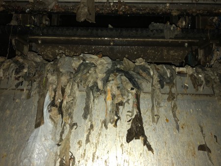 MichiganEGLE's tweet image. EGLE reminds consumers to flush only toilet paper, throw other paper products in the trash: bit.ly/2JlBR49 #MiEnvironment #toiletpaper #TP #flushing