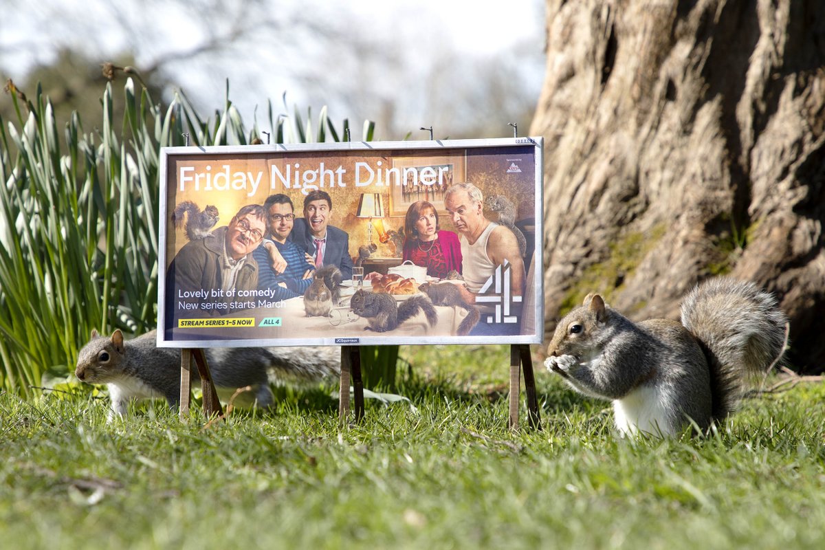 Even though us humans need to #StayAtHome, we're glad the squirrels are outside enjoying the sunshine and our posters 🤗 Don't miss brand new #FridayNightDinner tonight at 10pm