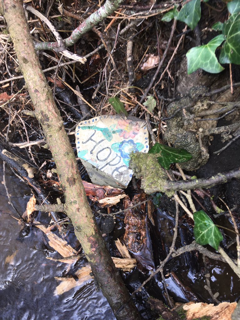 LittlePalmsFS's tweet image. Yesterday on our daily walk we found a beautiful ‘Hope’ stone My girls and I found some beautiful stones to paint. Here’s how they turned out #paintahopestone