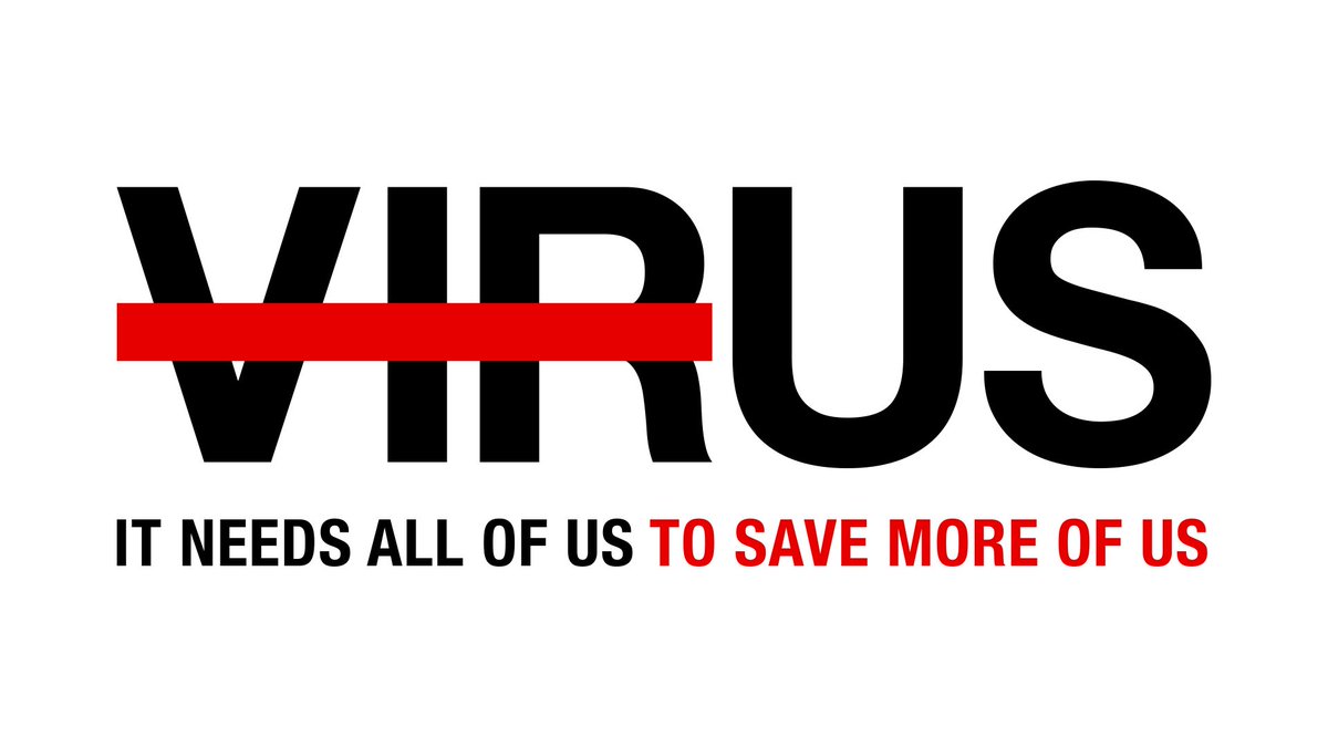 Camilla Harrisson tweet media