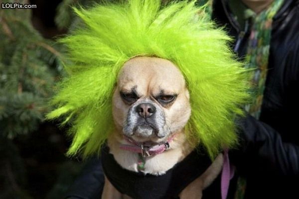 Should have got my hair cut weeks ago! On <a href="/8RadioIreland/">8Radio</a> Sat 8am we've plenty of hair-raising Irish tunes from <a href="/BleedingHeartPs/">Bleeding Heart Pigeons</a> <a href="/FREESTATENOVA/">JINX LENNON</a> <a href="/Peter_Vogelaar_/">peter_vogelaar_</a> <a href="/GazeisGhost/">Gaze is Ghost</a> <a href="/daithimusic/">Daithi</a> <a href="/NormaManly5/">Norma Manly</a> @skinnydowners <a href="/grey_merchant/">The Grey Merchant</a> <a href="/CandiceGordon/">Candice Gordon</a> @heyrustyLK &amp; more! #irishmusicparty