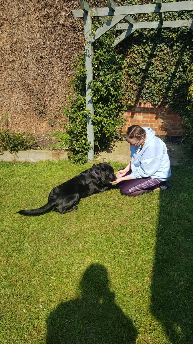 Post 2 of happiness: #beattheblues

My family have emergency fostered a dog for this period of isolation from the charity Canine Partners! Going for a walk once a day in this beautiful weather is the most mentally boosting thing! 

Stay safe &amp; stay happy ❤ 

#beattheblues