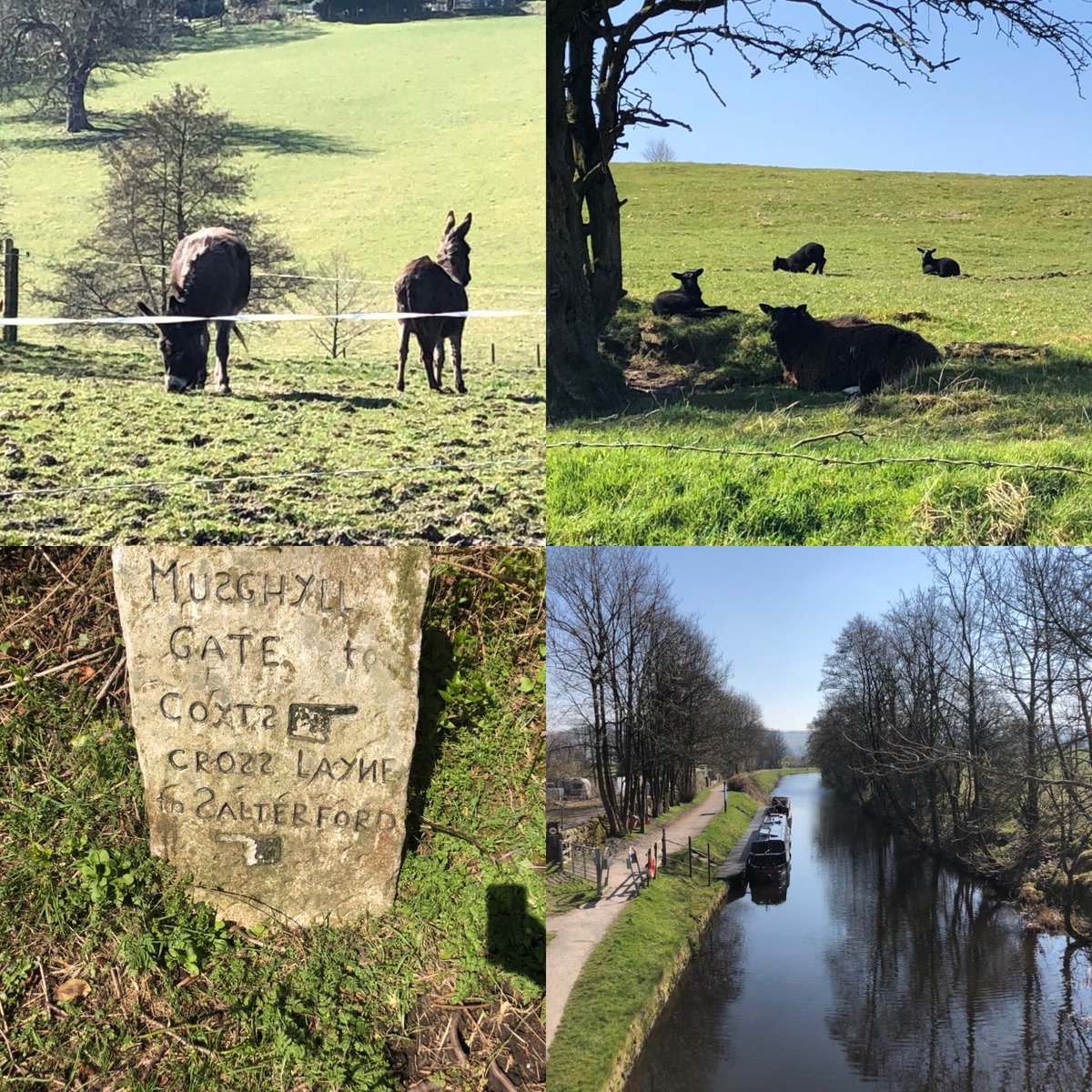 HillWalker70's tweet photo. Lovely 7.5km walk from home in the hills and countryside #selfisolating #covid19 #stayfitnotfat https://t.co/9SelvXr8sH