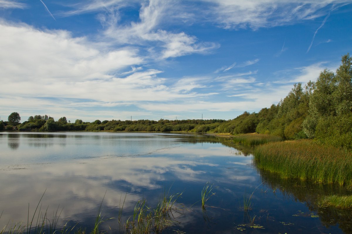 StaffordshireCC's tweet image. THREAD:  ⬇️⬇️⬇️⬇️

🚫🚗🌲 CAR PARKS AT COUNTRY PARKS CLOSED 🌲🚗🚫

Please remember that car parks and other facilities at our country parks are currently CLOSED.