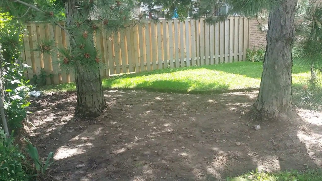 JackFrostGarden's tweet photo. Grass won't grow under pine trees often due to several factors. Find out why and how to remedy this pesky problem with simple steps. https://t.co/C7ex6V2qh4 https://t.co/evSoh2qQQf