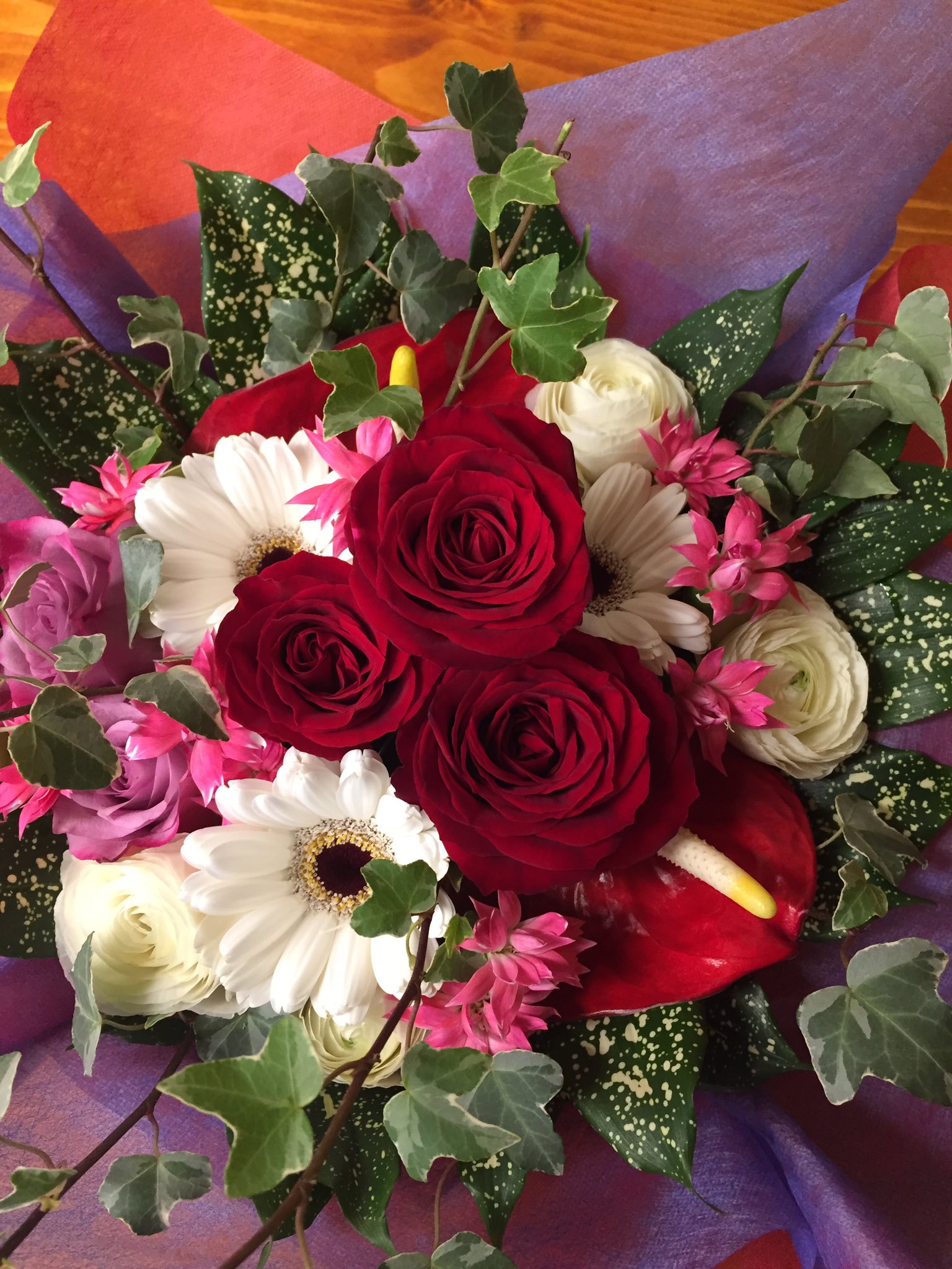Tweets With Replies By Flower Freak Flower Freak6 Twitter
