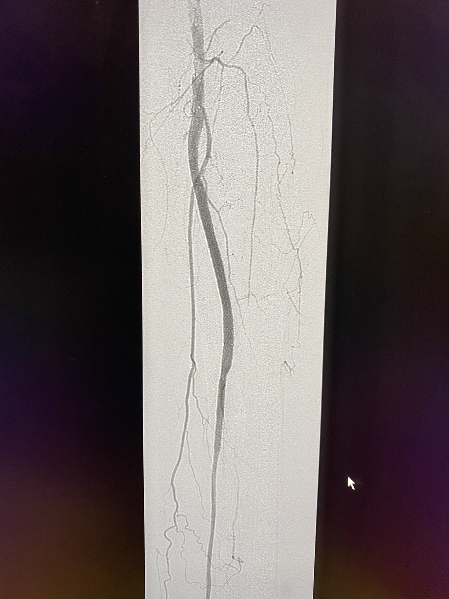 Rami Tadros tweet media