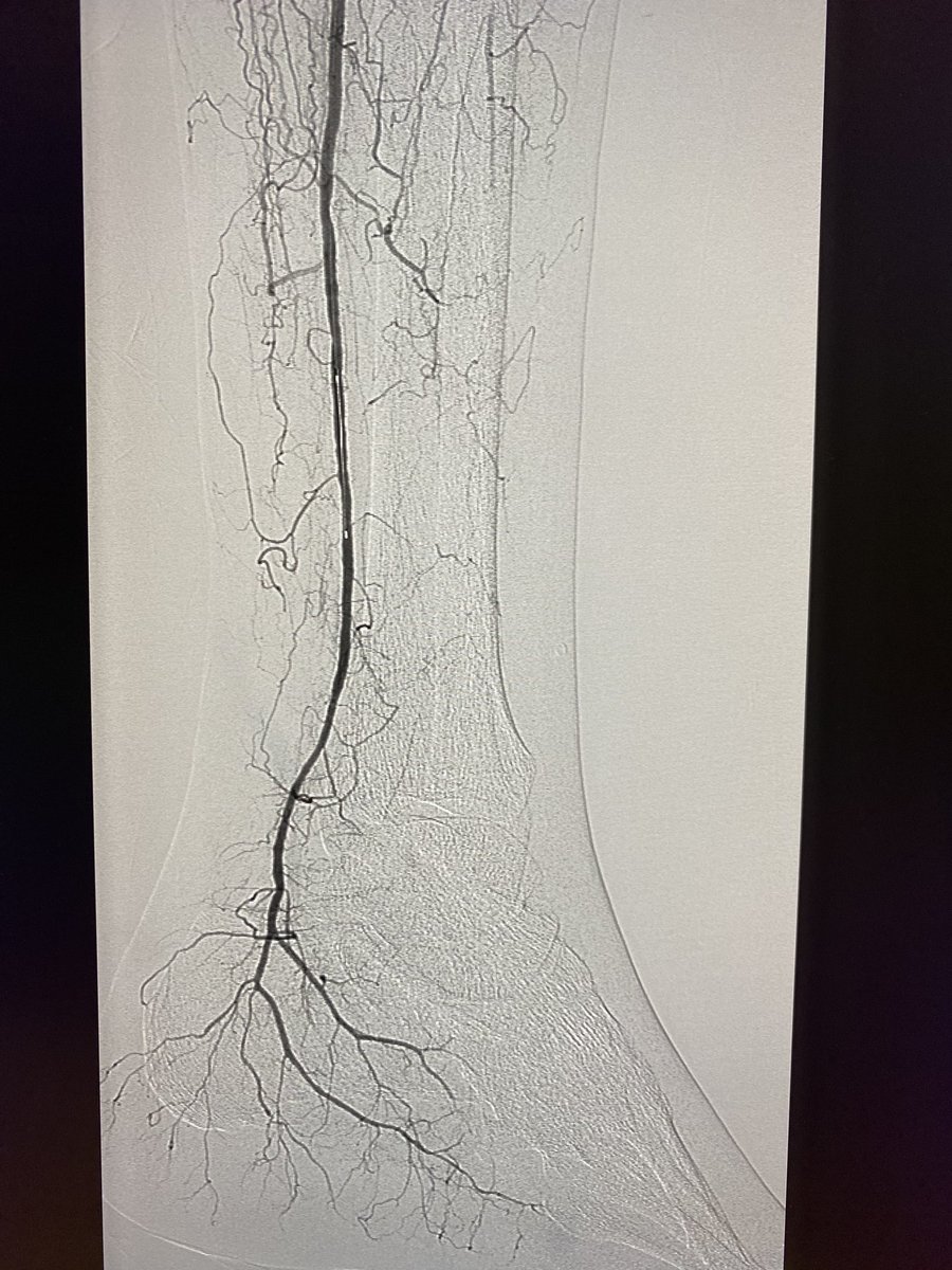 Rami Tadros tweet media
