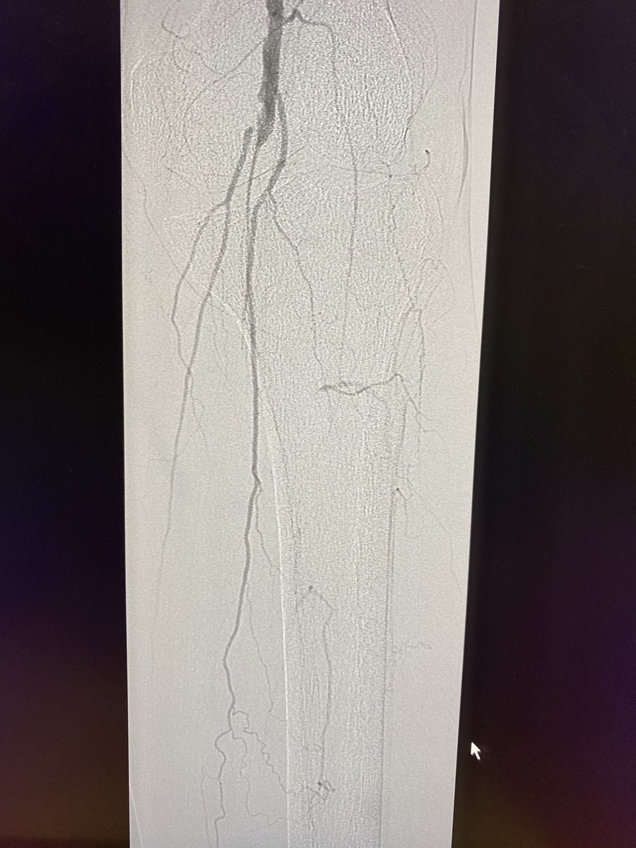 Rami Tadros tweet media