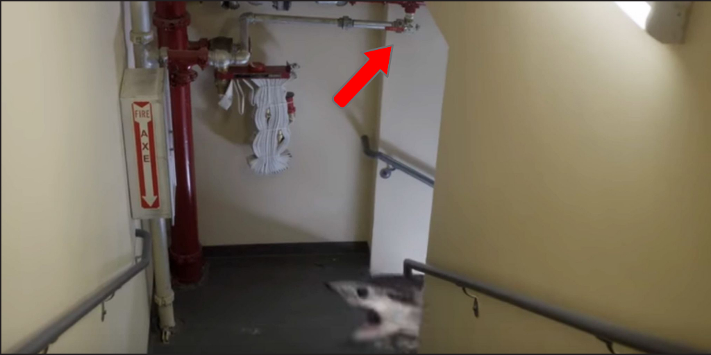 Need another clue about the movie our TESTanDRAIN appeared in?