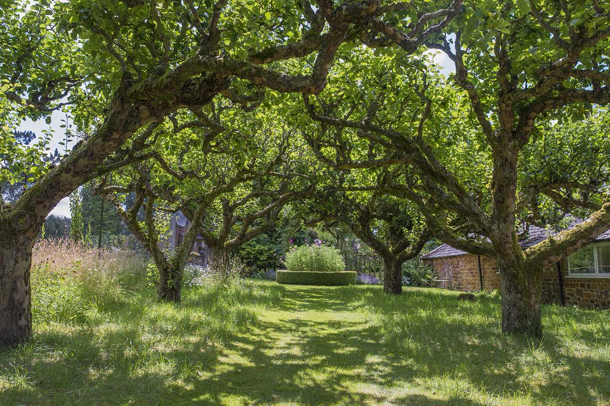 Haddonstone's tweet photo. Although our Show Gardens are currently closed, we have lots of sneak peak images we can share with you like this beautiful photo of the old apple trees. Don't forget to share your photos with us using #haddonstone and let's stay connected. https://t.co/PBH4lx2IVH