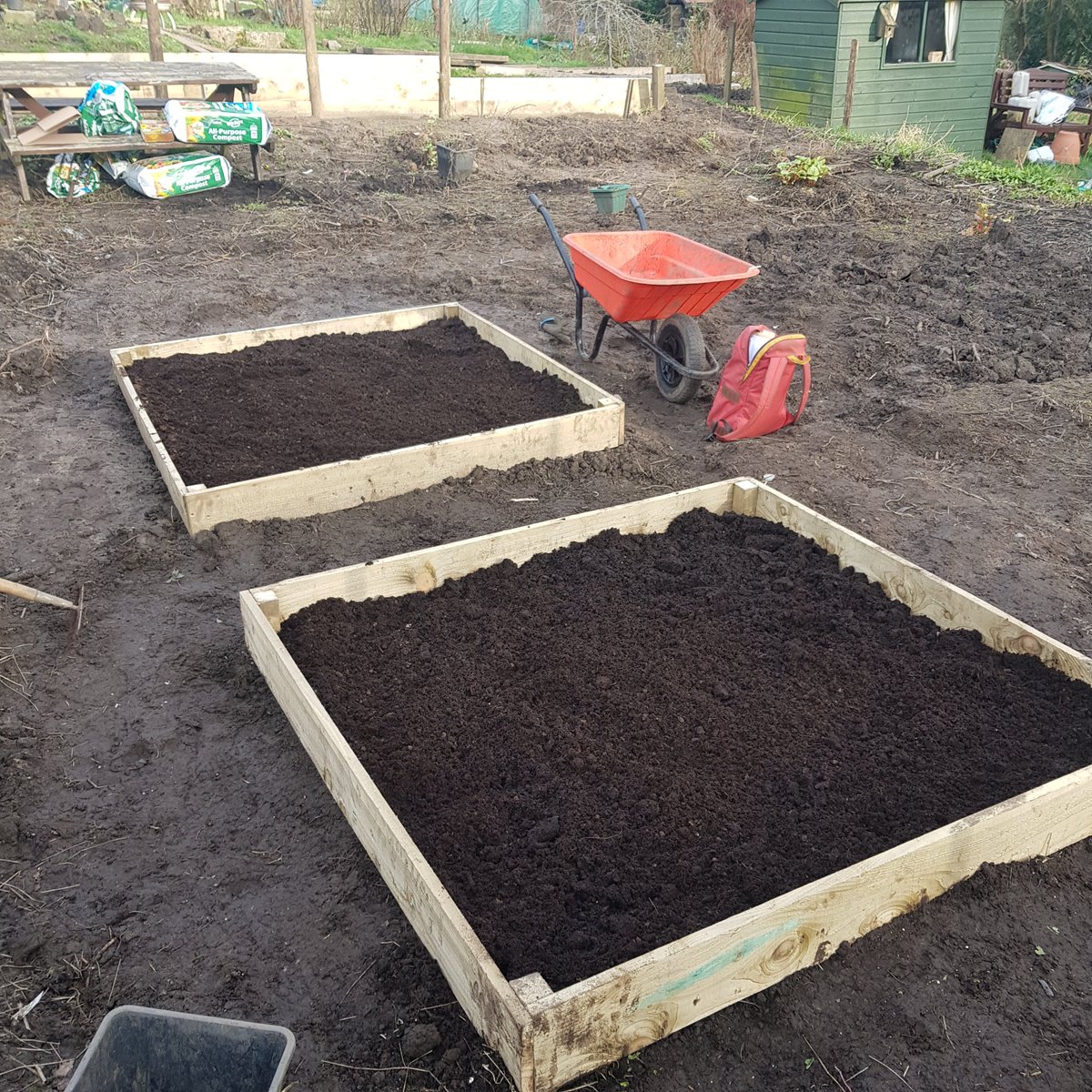 StepUpSalford's tweet photo. Allotment days 

#SU6vibe https://t.co/1N29f7tLJ5