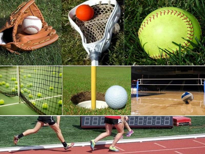 SCSportsReport's tweet image. Vote for the @SCSportsReport Spring Sports Student Athlete of the Week

@BDogs_Baseball @CCHSCougarLax @CCSCougarSports @charchristgsoc  @ProvAthletics @ChargersPDS  @CLS_Hawks @AKHSSoftball @MPHSBaseball_NC @WHSWarriors @MavAthletics @CHSCavaliers 

 southcharlottesports.com/2020/03/vote-f…