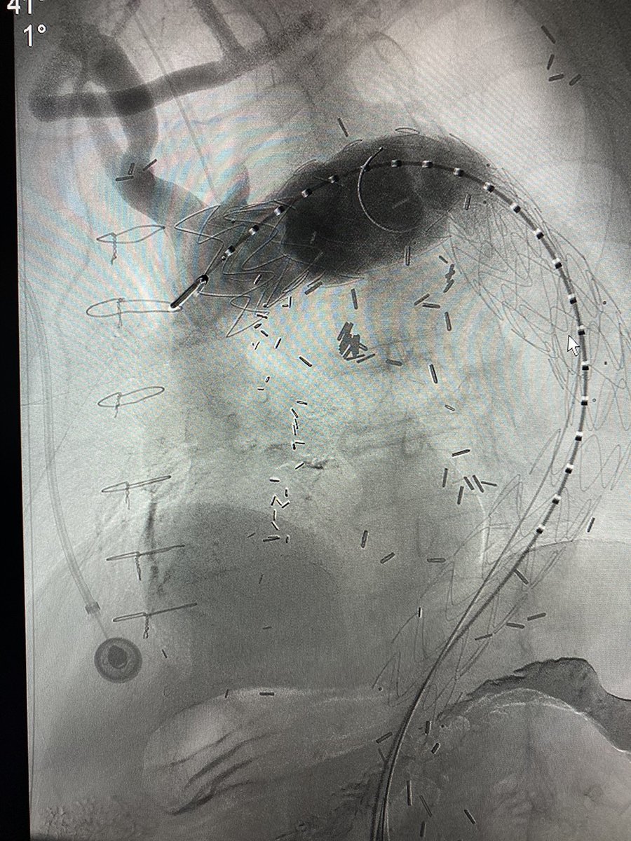 Rami Tadros tweet media